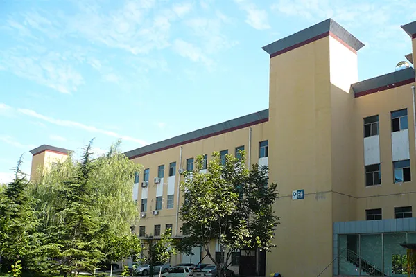 Company Profile