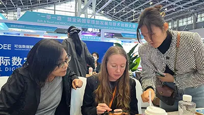 China International Digital Economy Expo 2025